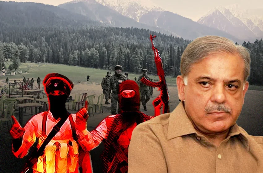  হামলাকারী ‘টিআরএফ’কে রাষ্ট্রসংঘে ‘সুরক্ষা’ ইসলামাবাদের, আরও স্পষ্ট পাকিস্তানের সন্ত্রাসযোগ